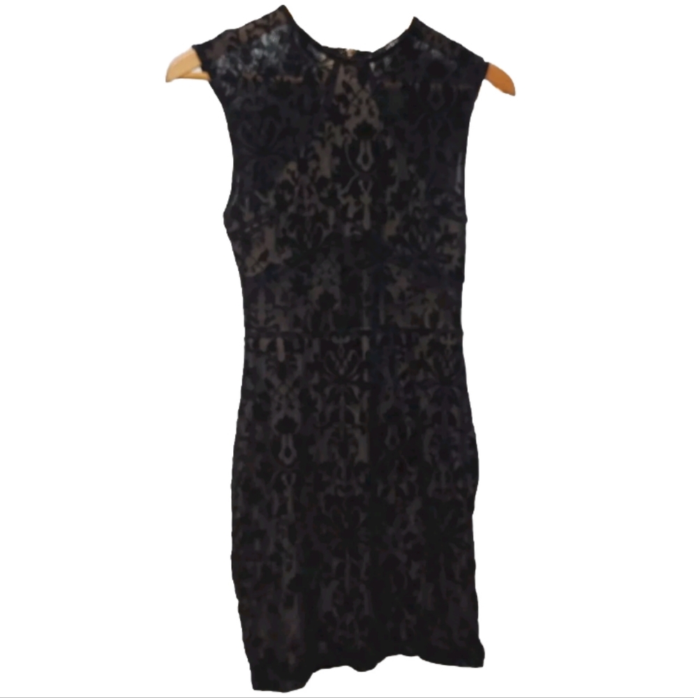 Privy Lace Mesh Bodycon Cut Out Mini Dress